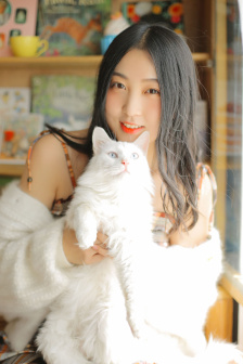 政委电视剧高清免费观看